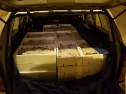 Incautadas  33 cajas de pescado que iban a ser vendidas de forma ilegal.