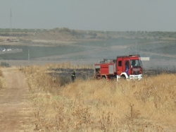 Esta mañana, la zona de pastos ubicada en el Ejido, próximo a las traseras del Parque de las Flores, ha salido ardiendo. Se trata de un terreno donde