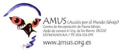 AMUS forma a técnicos italianos.