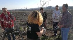 Villafranca de los Barros ha celebrado un curso de poda de vid, en la que han participado 4 alumnas y 10 alumnos de diferentes edades de Extremadura.