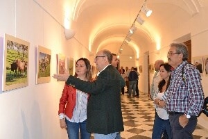 Inaugurada en Jerez de los Caballeros la exposición Toros y Dehesa de Extremadura organizada por la Diputación de Badajoz