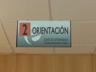 Curso de Dinamización de Actividades de Tiempo Libre Educativo Infantil y Juvenil.