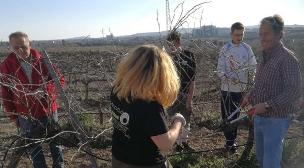 Villafranca de los Barros ha celebrado un curso de poda de vid, en la que han participado 4 alumnas y 10 alumnos de diferentes edades de Extremadura.