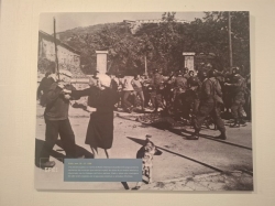 León en Transición: 50 años de democracia a través de la fotografía