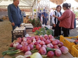 La Diputación concede 350.000 euros a 44 ayuntamientos para las ferias agropecuarias organizadas en 2025