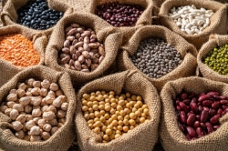 Castilla y León será la sede oficial del Día Mundial de las Legumbres el próximo 10 de febrero