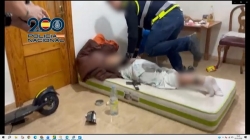 Desarticulada una organización criminal dedicada a la generación y distribución de recetas médicas falsas a través de Internet