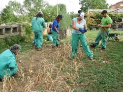 La Diputación de León forma a 16 desempleados mediante el programa mixto ‘Monte San Isidro XI’