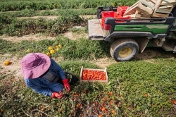 El número medio de afiliados extranjeros a la Seguridad Social en León se situó en  13.352 en febrero 2026