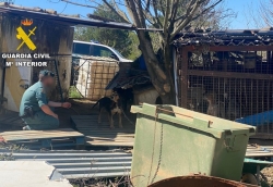 Investigado por un delito de maltrato animal en Lillo del Bierzo