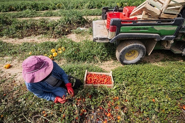 El número medio de afiliados extranjeros a la Seguridad Social en León se situó en  13.352 en febrero 2026