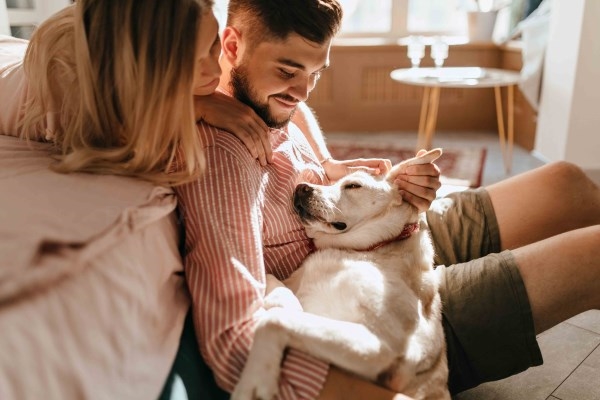 Claves para tener un hogar impecable con mascotas