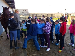 Escolares de La Siberia visitan la comarca, invitados por ADEVAG dentro del programa de intercambios