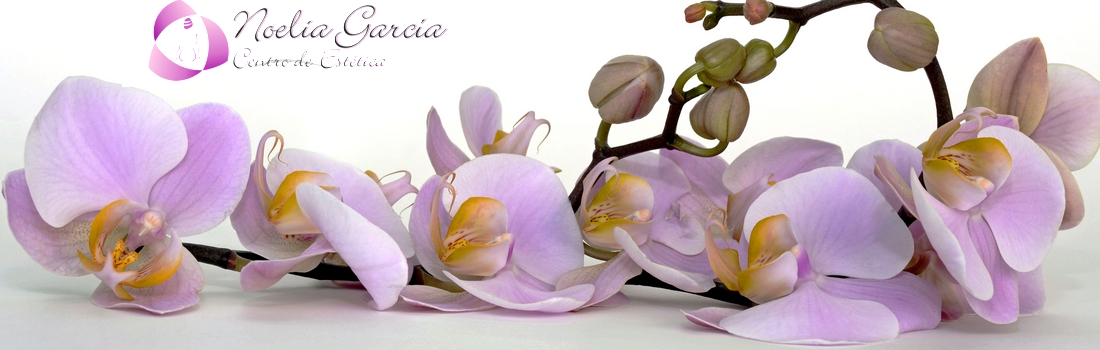 Centro Estética Noelia García
