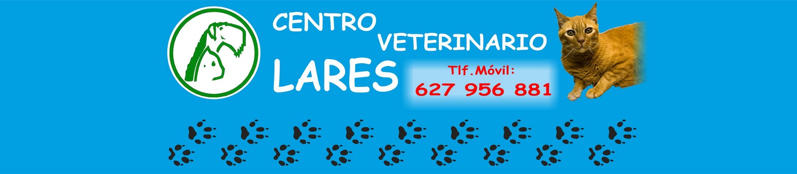 Centro Veterinario " Lares"