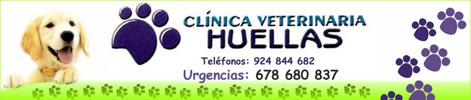 Clinica Veterinaria Huellas
