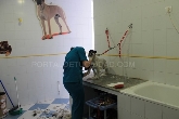 Clinica Veterinaria Huellas