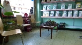 Centro Veterinario " Lares"