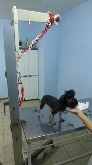 Centro Veterinario " Lares"