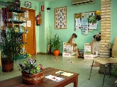 Centro Veterinario " Lares"