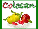 Colosan S.L.
