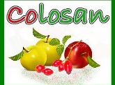 TOMATE CONCENTRADO               COLOSAN S L