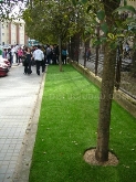 SERVIGREEN -CÉSPED ARTIFICIAL EN CÁCERES Y BADAJOZ