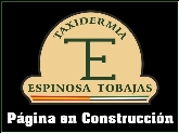 TAXIDERMIA ESPINOSA-TAXIDERMIA EN ESPAÑA Y EXTREMADURA