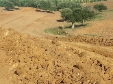 NIVELACIONES TORRES -  Nivelaciones en España y Portugal.