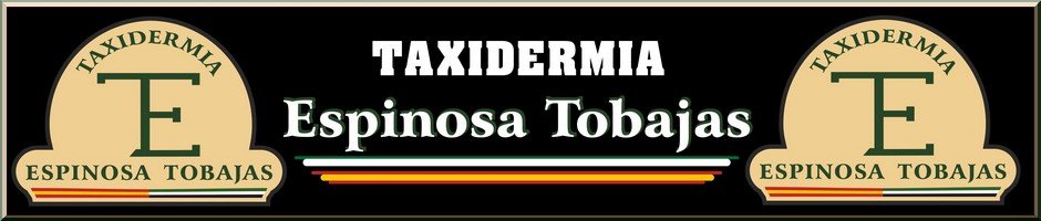 TAXIDERMIA ESPINOSA-TAXIDERMIA EN ESPAÑA Y EXTREMADURA