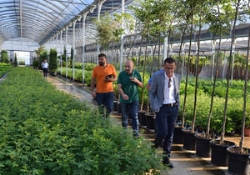 El presidente de la Diputación de Badajoz visita las instalaciones del vivero provincial en Don Benito