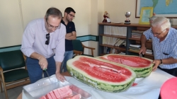 Los mayores de la Residencia Felipe Trigo toman de postre la sandía y el melón ganadores del concurso de San Bartolomé
