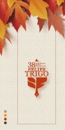 XXXVIII edición del Premio Literario Felipe Trigo