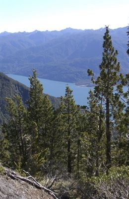 David Corregidor, responsable de Medio Ambiente de Endesa: "La conservación de la biodiversidad es un hito en sí mismo"