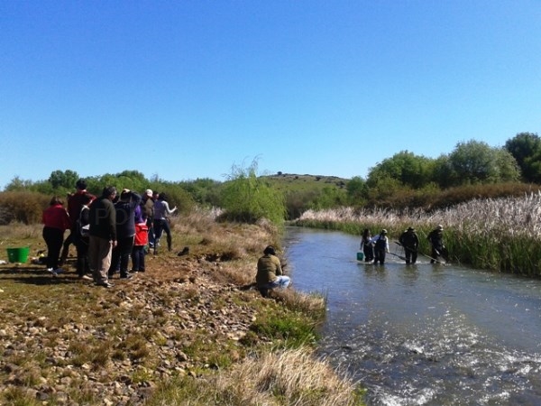Aprosuba-9 colabora en la catalogación de las especies piscícolas del río Zújar