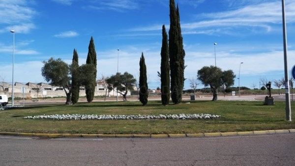 Se plantarán más de 400 árboles en el nuevo parque de Avenida de los Deportes