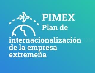 Hasta el 6 de febrero se pueden solicitar las ayudas a la internacionalización