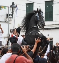 Jaleo1