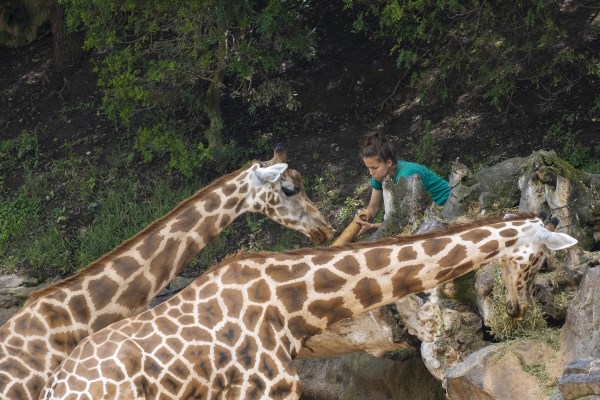 Desde los BIOPARC se pone en valor la dedicación de las personas que velan por el bienestar de los animales