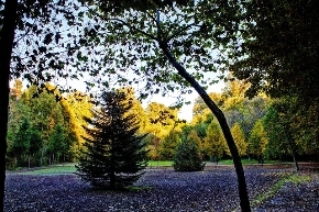 Jardín del Príncipe