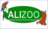 Alizoo