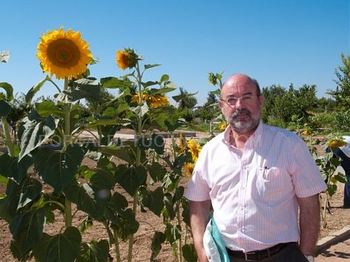 El Jardín Botánico de Albacete es el único espacio natural de estas características que existe en Castilla-La Mancha