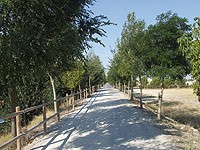 Más de 120 kilómetros para disfrutar de la naturaleza