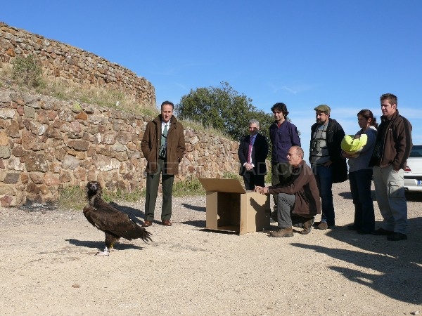 El Centro de Estudios de Rapaces Ibéricas ha liberado 924 ejemplares de fauna, el 5% de ellas, especies consideradas como prioritarias