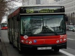 bus