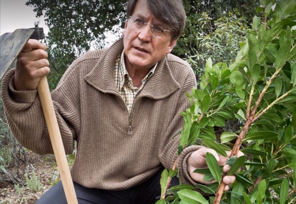 El naturalista y escritor Joaquín Araujo imparte una conferencia en La Nau de Valencia sobre el carácter parasitario de las ciudades