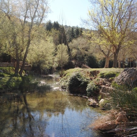 El Jardí Botànic de la Universitat de València participa en la IV edición de la Biomaratón de la Flora Española