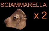 Sciammarella x 2