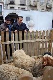 Aldea Navideña en el casco histórico de Alcala de Henares.