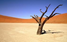 EN EL DESIERTO